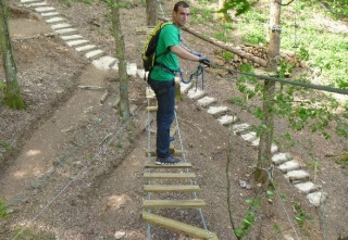  Curso de dificultad media en los árboles 